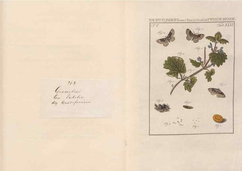Reproducción/Reproduction 49817010041: Beschouwing der wonderen Gods, in de minstgeachte schepzelen :. Te Amsterdam :by J.C. Sepp,1762-1860.. 