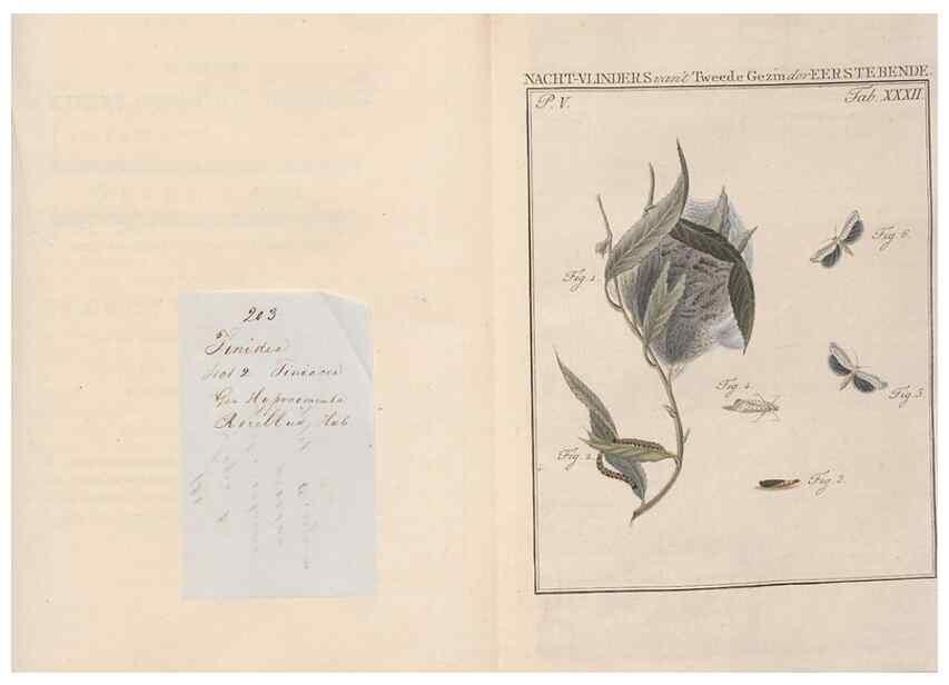 Reproducción/Reproduction 49817318057: Beschouwing der wonderen Gods, in de minstgeachte schepzelen :. Te Amsterdam :by J.C. Sepp,1762-1860.. 
