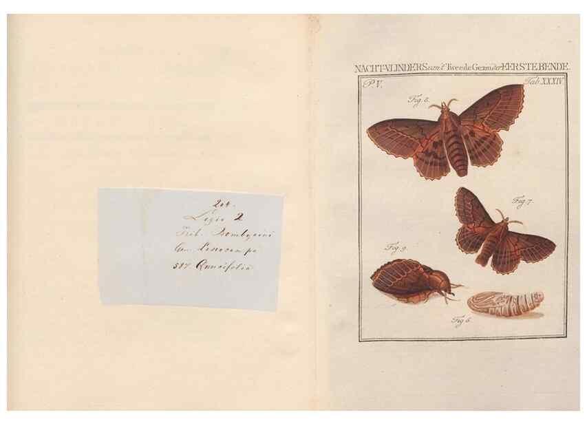 Reproducción/Reproduction 49817010681: Beschouwing der wonderen Gods, in de minstgeachte schepzelen :. Te Amsterdam :by J.C. Sepp,1762-1860.. 