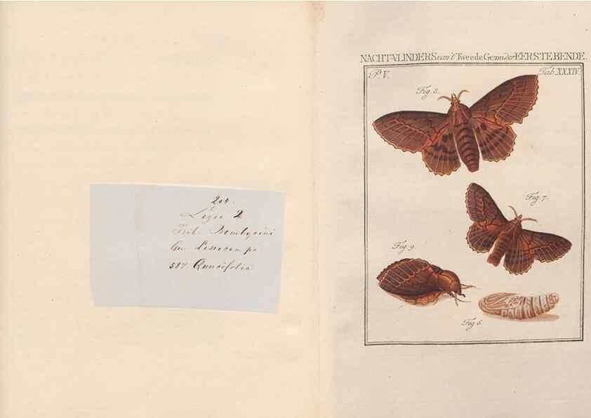Reproducción/Reproduction 49817010681: Beschouwing der wonderen Gods, in de minstgeachte schepzelen :. Te Amsterdam :by J.C. Sepp,1762-1860.. 
