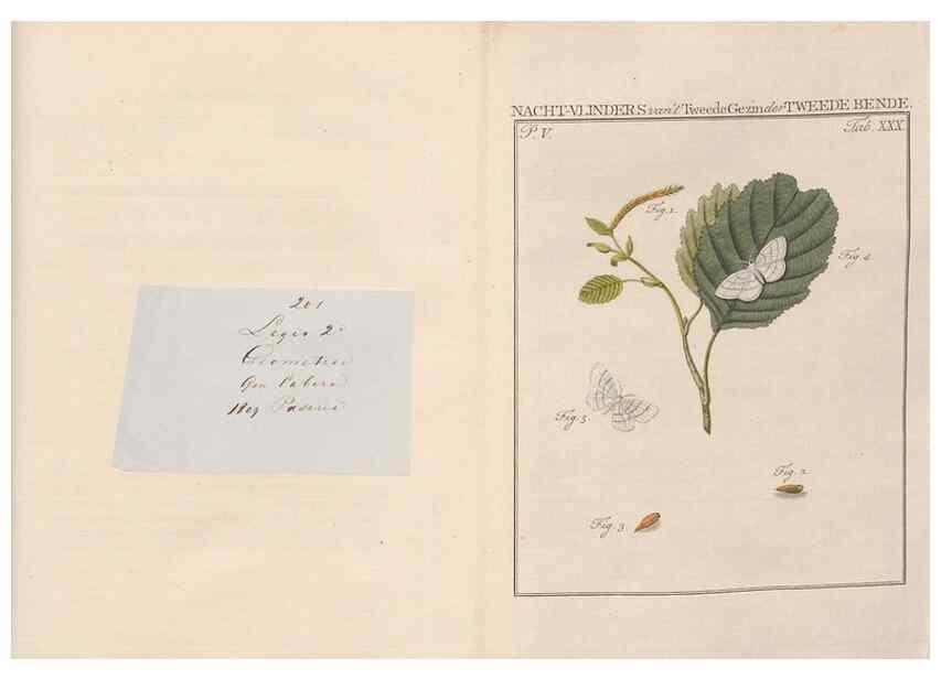 Reproducción/Reproduction 49817317677: Beschouwing der wonderen Gods, in de minstgeachte schepzelen :. Te Amsterdam :by J.C. Sepp,1762-1860.. 