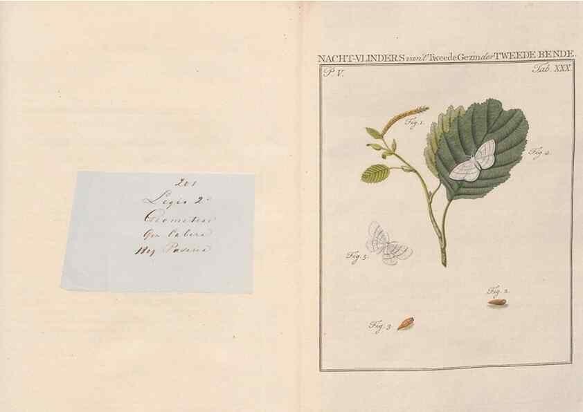 Reproducción/Reproduction 49817317677: Beschouwing der wonderen Gods, in de minstgeachte schepzelen :. Te Amsterdam :by J.C. Sepp,1762-1860.. 