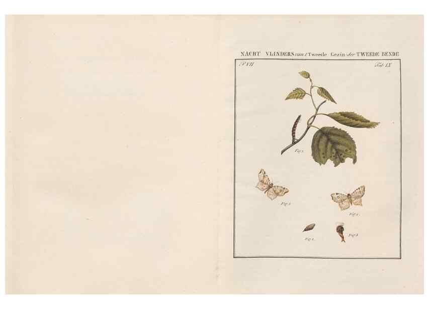 Reproducción/Reproduction 49817071296: Beschouwing der wonderen Gods, in de minstgeachte schepzelen :. Te Amsterdam :by J.C. Sepp,1762-1860.. 