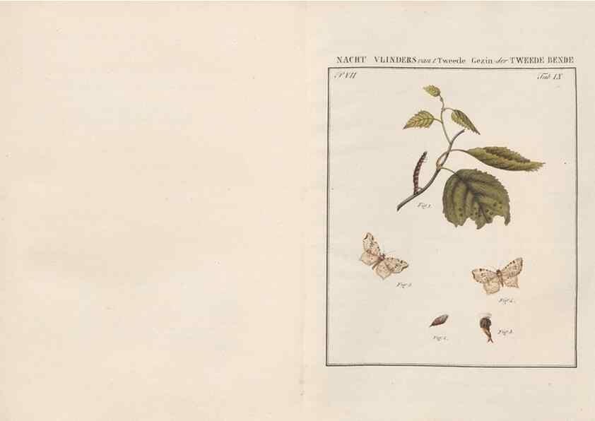 Reproducción/Reproduction 49817071296: Beschouwing der wonderen Gods, in de minstgeachte schepzelen :. Te Amsterdam :by J.C. Sepp,1762-1860.. 