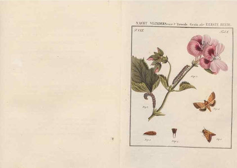 Reproducción/Reproduction 49816538353: Beschouwing der wonderen Gods, in de minstgeachte schepzelen :. Te Amsterdam :by J.C. Sepp,1762-1860.. 