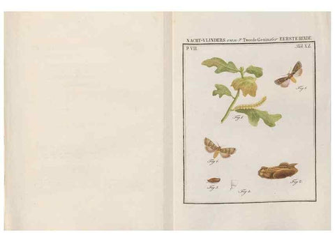 Reproducción/Reproduction 49816544288: Beschouwing der wonderen Gods, in de minstgeachte schepzelen :. Te Amsterdam :by J.C. Sepp,1762-1860.. 