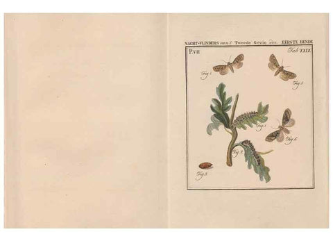 Reproducción/Reproduction 49816542128: Beschouwing der wonderen Gods, in de minstgeachte schepzelen :. Te Amsterdam :by J.C. Sepp,1762-1860.. 