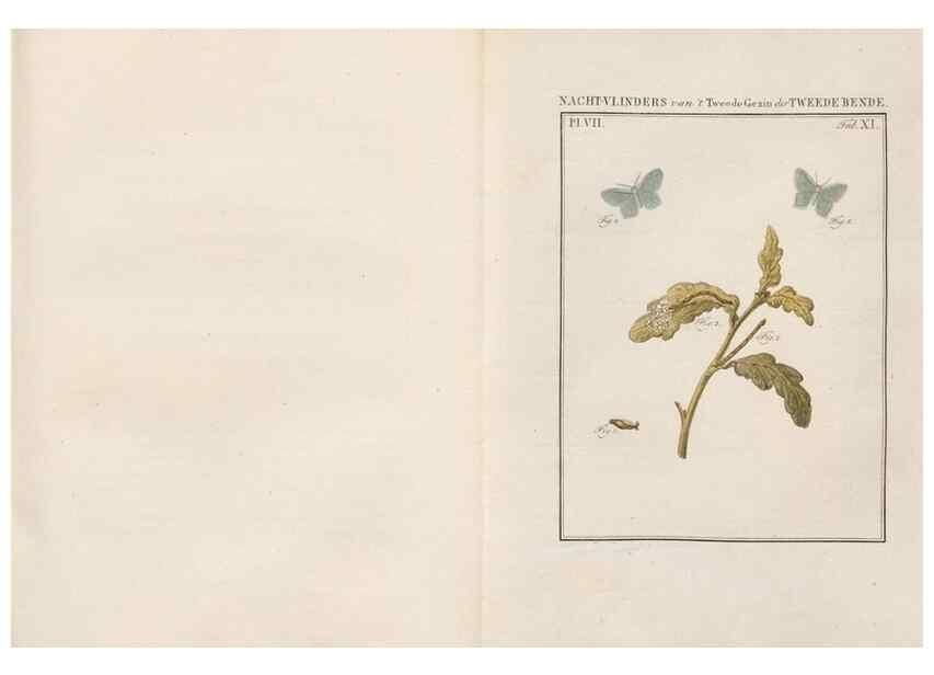 Reproducción/Reproduction 49816538558: Beschouwing der wonderen Gods, in de minstgeachte schepzelen :. Te Amsterdam :by J.C. Sepp,1762-1860.. 