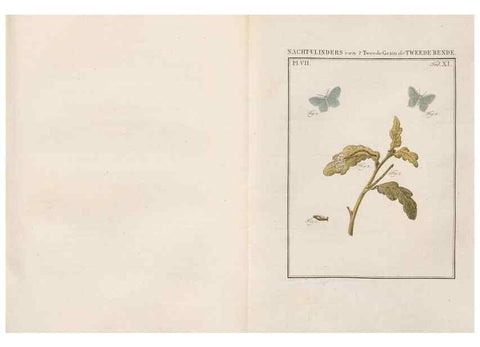 Reproducción/Reproduction 49816538558: Beschouwing der wonderen Gods, in de minstgeachte schepzelen :. Te Amsterdam :by J.C. Sepp,1762-1860.. 