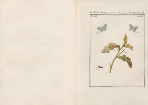 Reproducción/Reproduction 49816538558: Beschouwing der wonderen Gods, in de minstgeachte schepzelen :. Te Amsterdam :by J.C. Sepp,1762-1860.. 