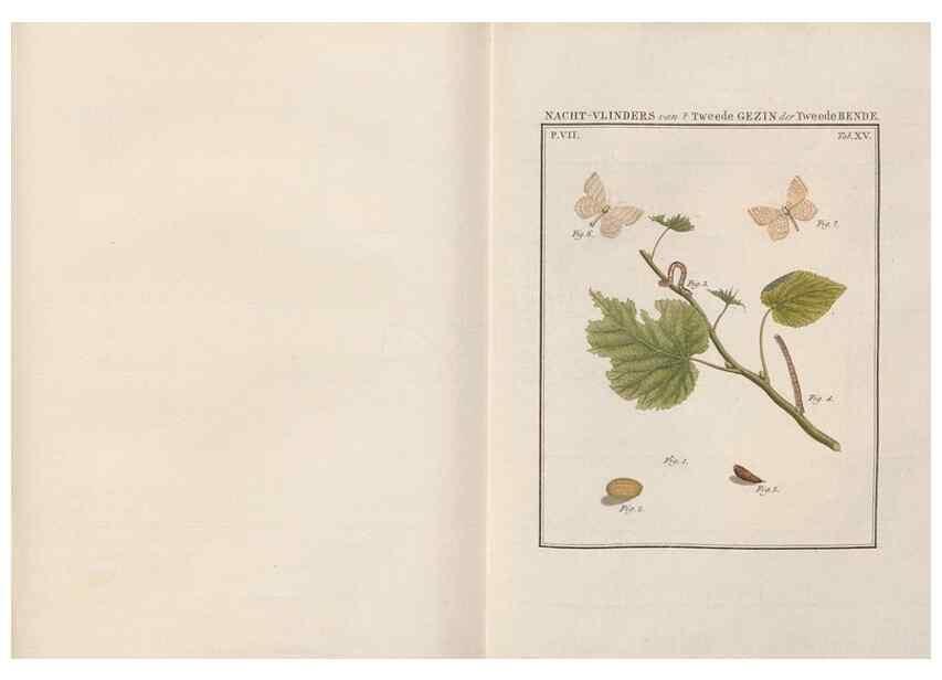 Reproducción/Reproduction 49816539458: Beschouwing der wonderen Gods, in de minstgeachte schepzelen :. Te Amsterdam :by J.C. Sepp,1762-1860.. 