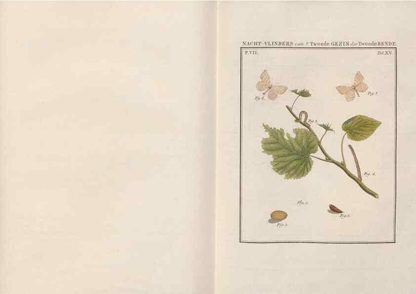 Reproducción/Reproduction 49816539458: Beschouwing der wonderen Gods, in de minstgeachte schepzelen :. Te Amsterdam :by J.C. Sepp,1762-1860.. 