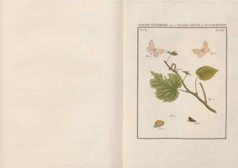 Reproducción/Reproduction 49816539458: Beschouwing der wonderen Gods, in de minstgeachte schepzelen :. Te Amsterdam :by J.C. Sepp,1762-1860.. 
