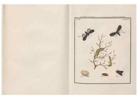 Reproducción/Reproduction 49817381807: Beschouwing der wonderen Gods, in de minstgeachte schepzelen :. Te Amsterdam :by J.C. Sepp,1762-1860.. 