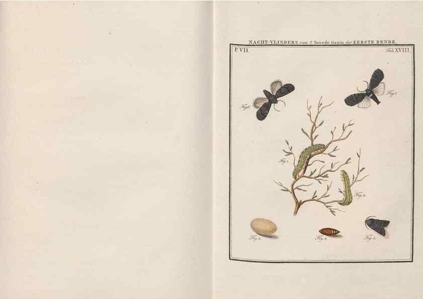 Reproducción/Reproduction 49817381807: Beschouwing der wonderen Gods, in de minstgeachte schepzelen :. Te Amsterdam :by J.C. Sepp,1762-1860.. 