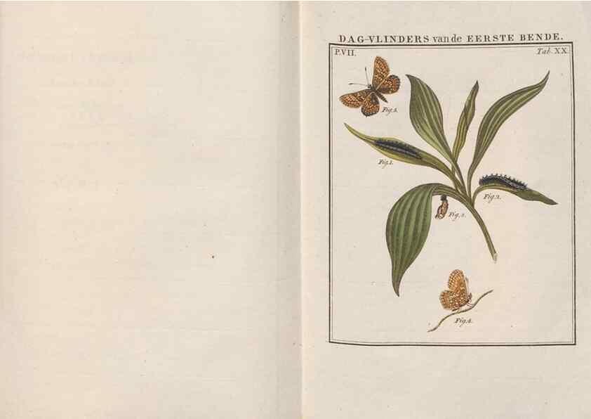 Reproducción/Reproduction 49817073506: Beschouwing der wonderen Gods, in de minstgeachte schepzelen :. Te Amsterdam :by J.C. Sepp,1762-1860.. 
