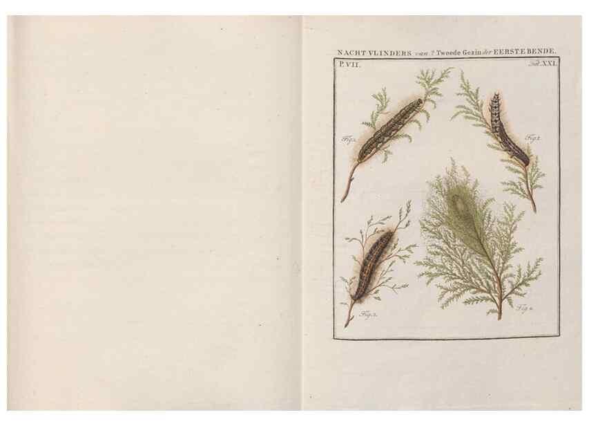 Reproducción/Reproduction 49816540628: Beschouwing der wonderen Gods, in de minstgeachte schepzelen :. Te Amsterdam :by J.C. Sepp,1762-1860.. 
