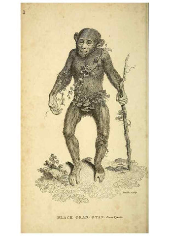 Reproducción/Reproduction 49826716952: General zoology, or Systematic natural history. London,Printed for G. Kearsley,1800-1826.. 