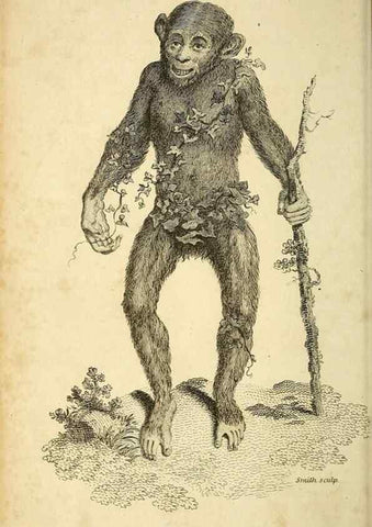 Reproducción/Reproduction 49826716952: General zoology, or Systematic natural history. London,Printed for G. Kearsley,1800-1826.. 