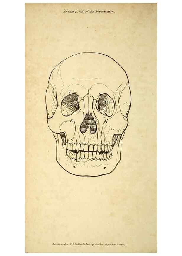 Reproducción/Reproduction 49826716082: General zoology, or Systematic natural history. London,Printed for G. Kearsley,1800-1826.. 