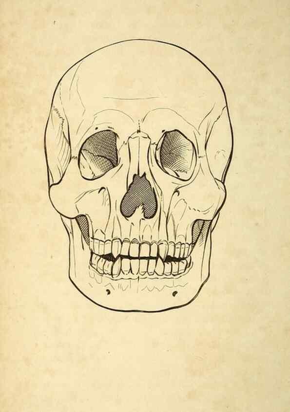 Reproducción/Reproduction 49826716082: General zoology, or Systematic natural history. London,Printed for G. Kearsley,1800-1826.. 