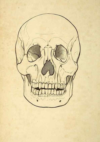 Reproducción/Reproduction 49826716082: General zoology, or Systematic natural history. London,Printed for G. Kearsley,1800-1826.. 