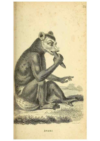 Reproducción/Reproduction 49826728087: General zoology, or Systematic natural history. London,Printed for G. Kearsley,1800-1826.. 