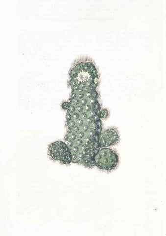 Reproducción/Reproduction 49825534082: Edwards's botanical register.. London :James Ridgway,1829-1847.. 
