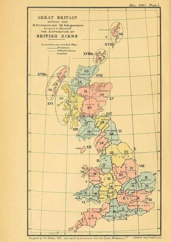 Reproducción/Reproduction 49694521863: Ibis.. [London]Published for the British Ornithologists' Union by Academic Press.. 