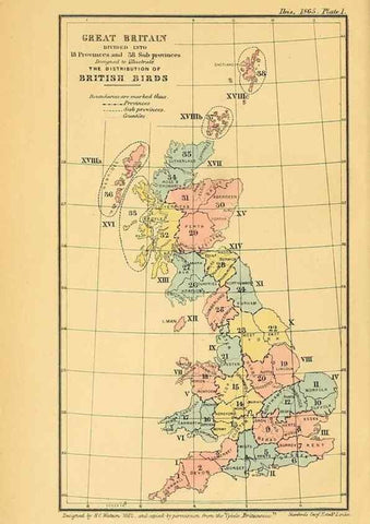 Reproducción/Reproduction 49694521863: Ibis.. [London]Published for the British Ornithologists' Union by Academic Press.. 