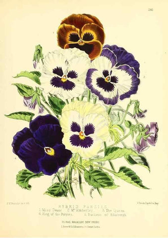 Reproducción/Reproduction 49693635048: The floral magazine;. London,L. Reeve & Co.. 