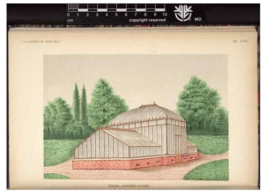 Reproducción/Reproduction 49692262626: L'Illustration horticole :. Gand, Belgium :Imprimerie et lithographie de F. et E. Gyselnyck,1854-1896.. 