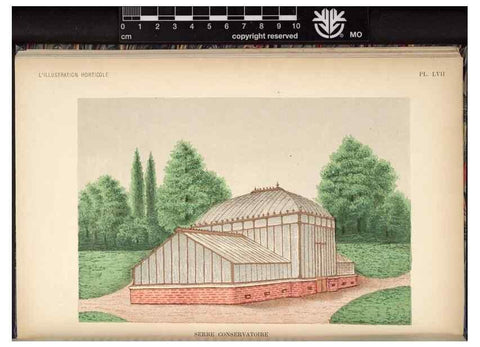 Reproducción/Reproduction 49692262626: L'Illustration horticole :. Gand, Belgium :Imprimerie et lithographie de F. et E. Gyselnyck,1854-1896.. 