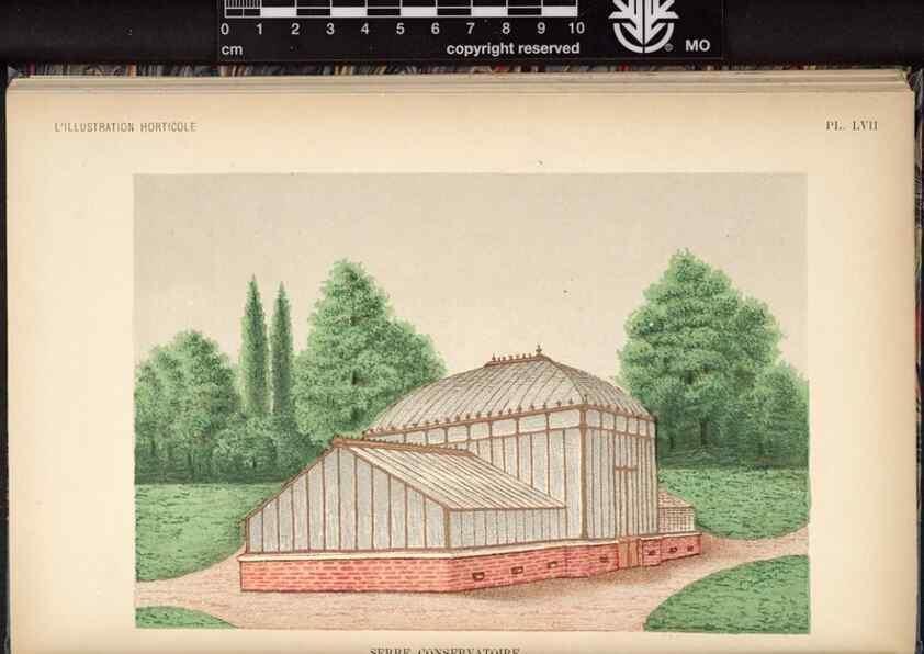Reproducción/Reproduction 49692262626: L'Illustration horticole :. Gand, Belgium :Imprimerie et lithographie de F. et E. Gyselnyck,1854-1896.. 