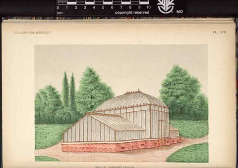 Reproducción/Reproduction 49692262626: L'Illustration horticole :. Gand, Belgium :Imprimerie et lithographie de F. et E. Gyselnyck,1854-1896.. 