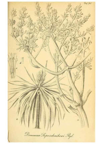 Reproducción/Reproduction 49702150856: Gartenflora.. Erlangen :F. Enke,1852-1940.. 