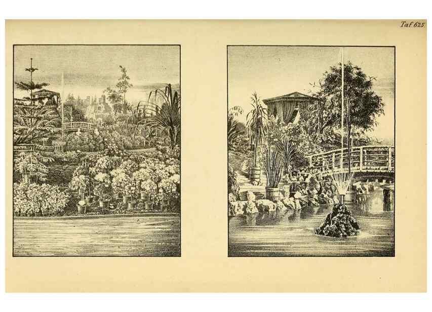 Reproducción/Reproduction 49698101643: Gartenflora.. Erlangen :F. Enke,1852-1940.. 