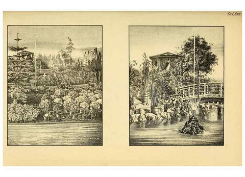 Reproducción/Reproduction 49698101643: Gartenflora.. Erlangen :F. Enke,1852-1940.. 