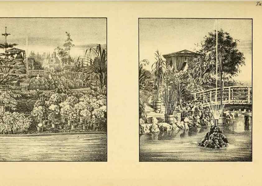 Reproducción/Reproduction 49698101643: Gartenflora.. Erlangen :F. Enke,1852-1940.. 