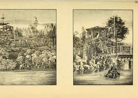 Reproducción/Reproduction 49698101643: Gartenflora.. Erlangen :F. Enke,1852-1940.. 