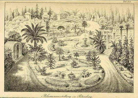 Reproducción/Reproduction 49690763008: Gartenflora.. Erlangen :F. Enke,1852-1940.. 