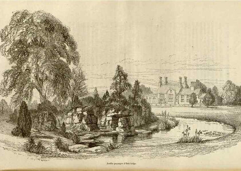 Reproducción/Reproduction 49690829781: L'Illustration horticole :. Gand, Belgium :Imprimerie et lithographie de F. et E. Gyselnyck,1854-1896.. 