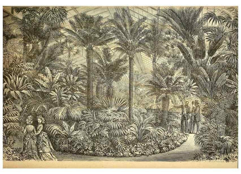Reproducción/Reproduction 49717082567: Gartenflora.. Erlangen :F. Enke,1852-1940.. 