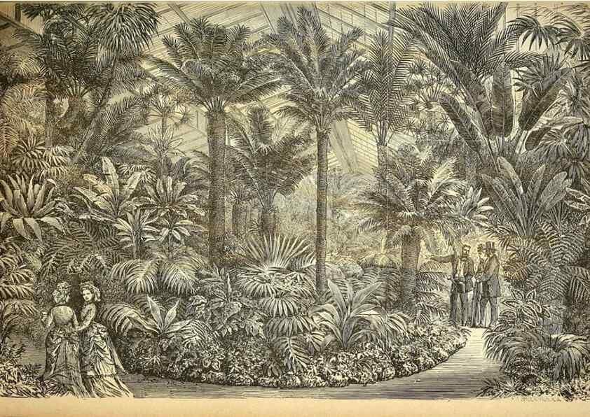 Reproducción/Reproduction 49717082567: Gartenflora.. Erlangen :F. Enke,1852-1940.. 