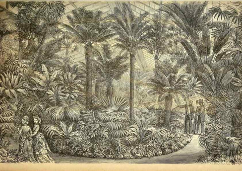 Reproducción/Reproduction 49717082567: Gartenflora.. Erlangen :F. Enke,1852-1940.. 