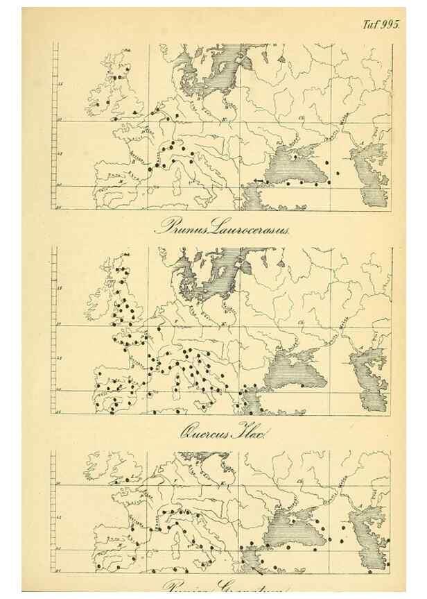 Reproducción/Reproduction 49716615951: Gartenflora.. Erlangen :F. Enke,1852-1940.. 