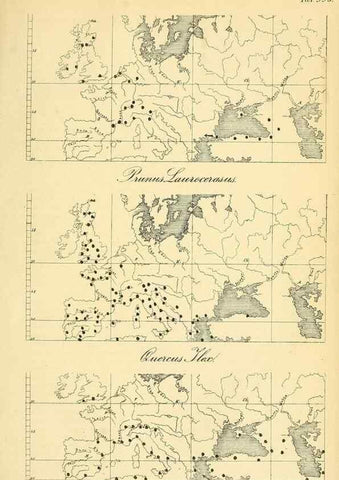 Reproducción/Reproduction 49716615951: Gartenflora.. Erlangen :F. Enke,1852-1940.. 