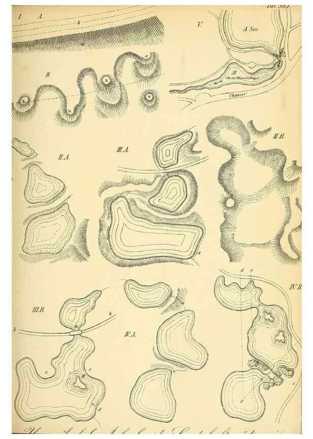 Reproducción/Reproduction 49716613041: Gartenflora.. Erlangen :F. Enke,1852-1940.. 