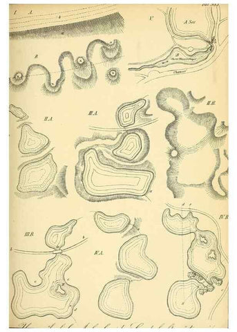 Reproducción/Reproduction 49716613041: Gartenflora.. Erlangen :F. Enke,1852-1940.. 