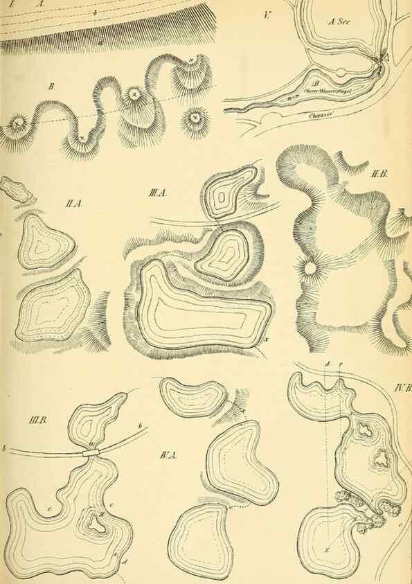Reproducción/Reproduction 49716613041: Gartenflora.. Erlangen :F. Enke,1852-1940.. 